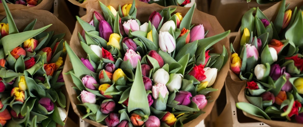 Bouquets of tulips wrapped in paper at a market.