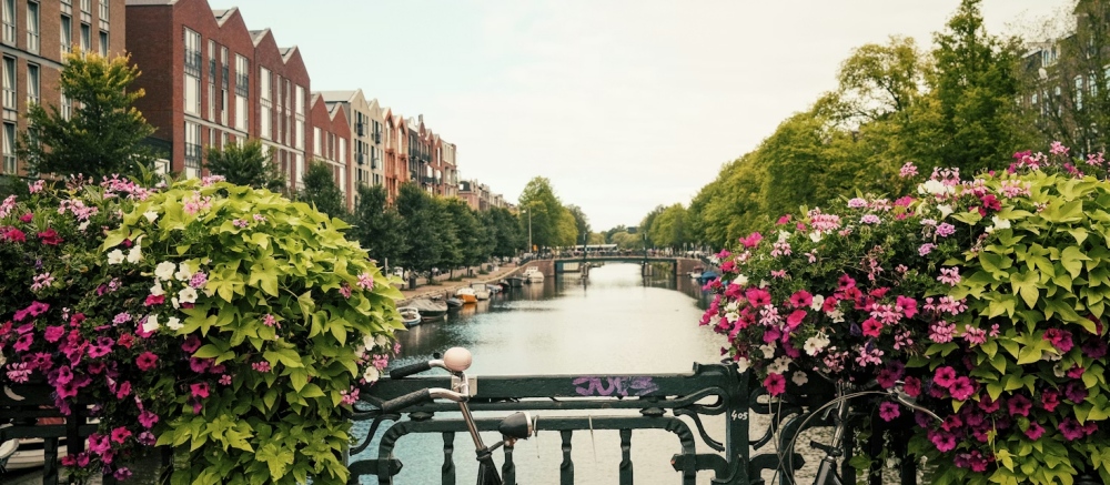 A flower-lined bridge over an Amsterdam canal.