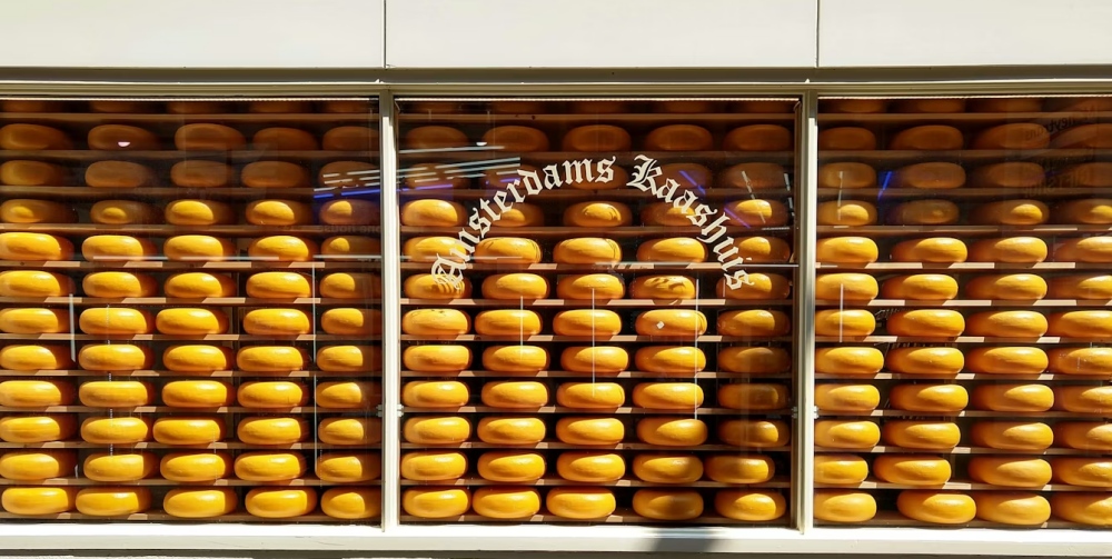 Rounds of cheese displayed in a shop window in Amsterdam.