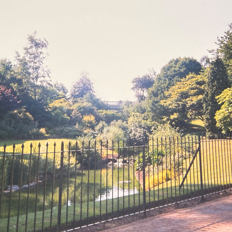 A pond and greenery behind a black fence in Hyde Park, London.