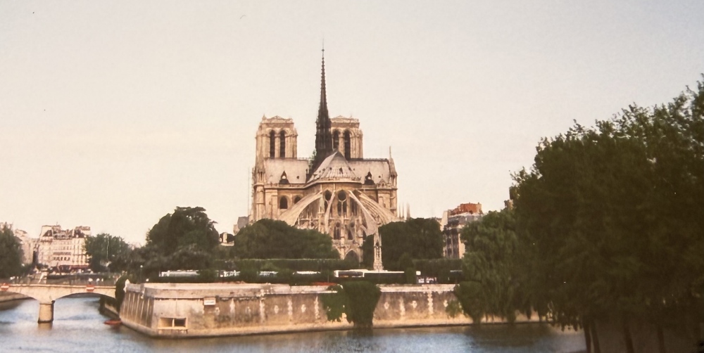 Notre-Dame Cathedral seen across the Seine in soft light.